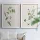 Wispy Botanical I - Premium Framed Canvas 2 Piece Set - Ready to Hang