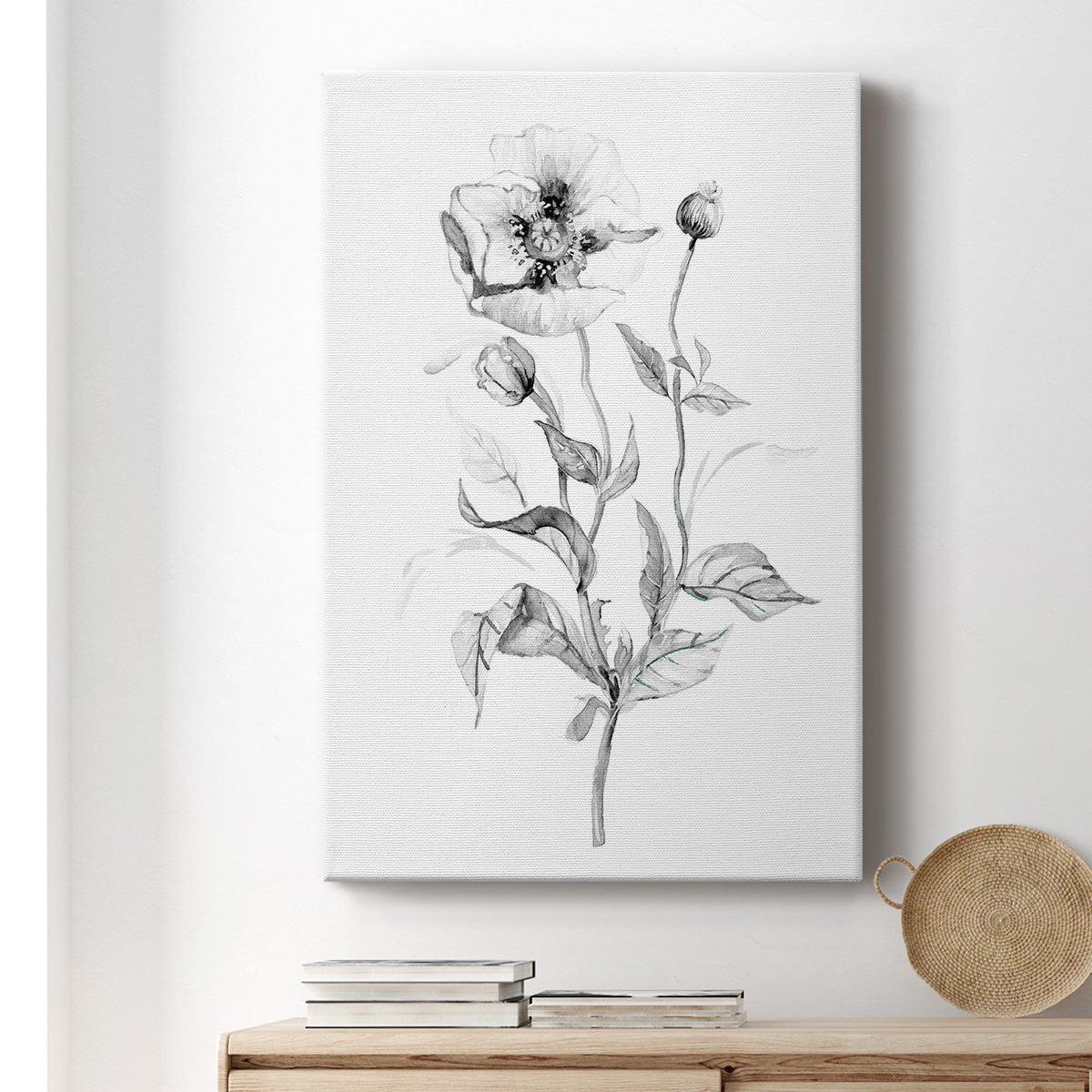 Wild Poppy Sketch Premium Gallery Wrapped Canvas - Ready to Hang