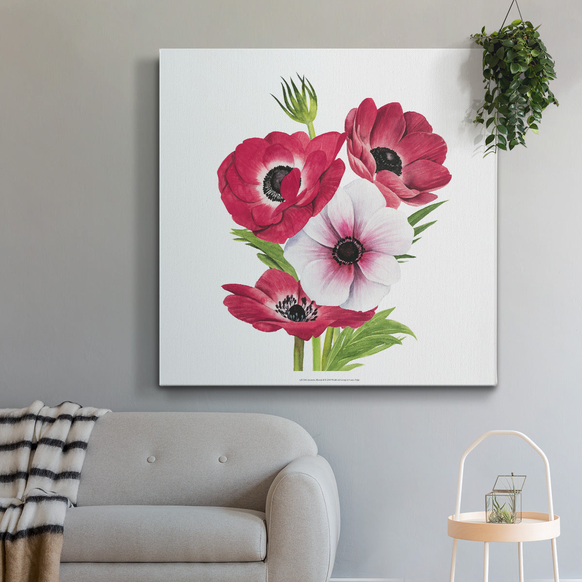 Anemone Blooms II - Canvas Art Print