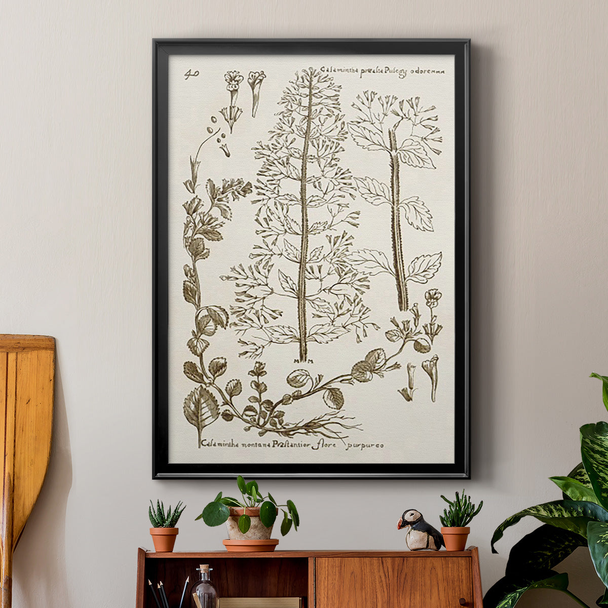 Sepia Botanical Journal V - Modern Framed Canvas Print