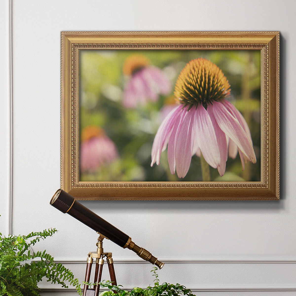 Echinacea Study I Premium Framed Canvas- Ready to Hang