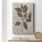 Arbor Specimen II Premium Gallery Wrapped Canvas - Ready to Hang