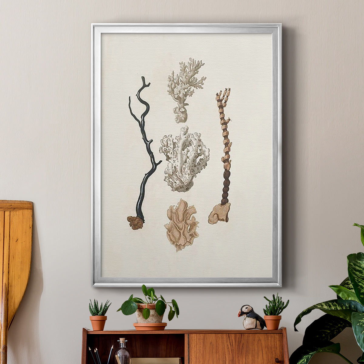 Knorr Shells & Coral V - Modern Framed Canvas Print