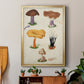 Mushroom Species VII - Modern Framed Canvas Print