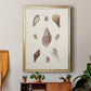 Knorr Shells & Coral IX - Modern Framed Canvas Print