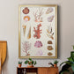 Coral & Shell Collage II -  Framed Canvas Print