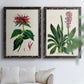 Set of two black barnwood framed canvas prints depicting detailed blossoms, leaves, roots, and archival cream grounds arranged across two complementary compositions above a sofa in a bright living space.