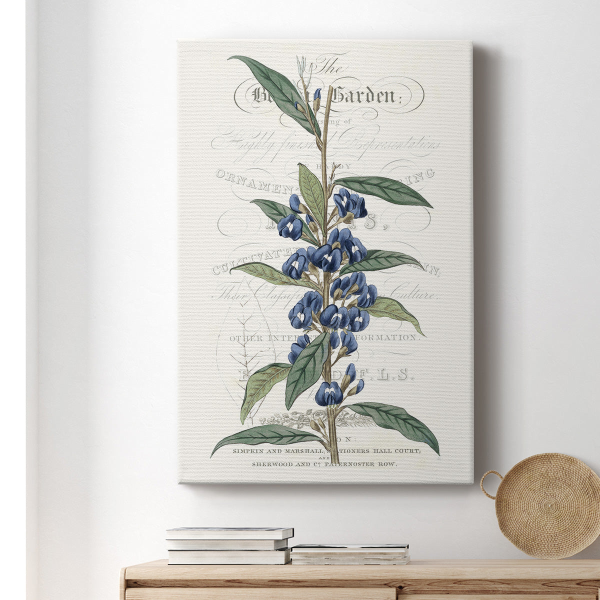 Flower Garden Varietals VI - Canvas Art Print