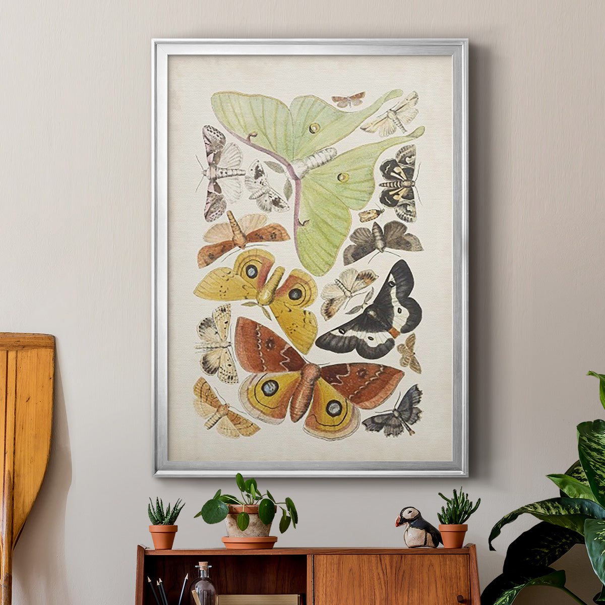 Antique Moths I - Modern Framed Canvas Print