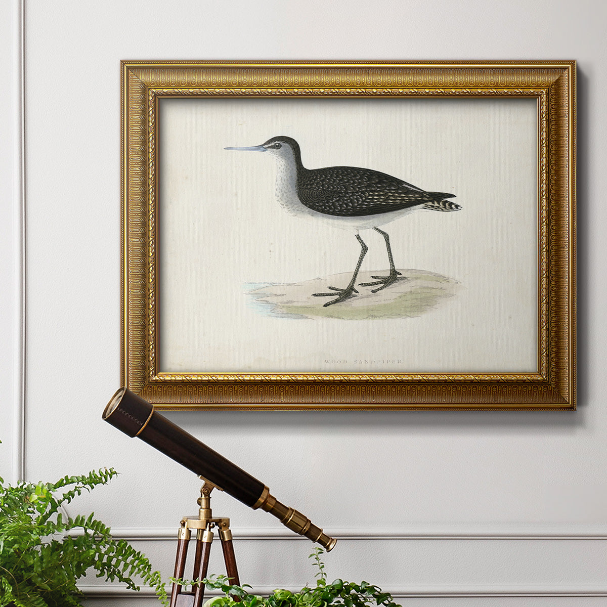 Morris Sandpipers VIII Premium Framed Canvas- Ready to Hang