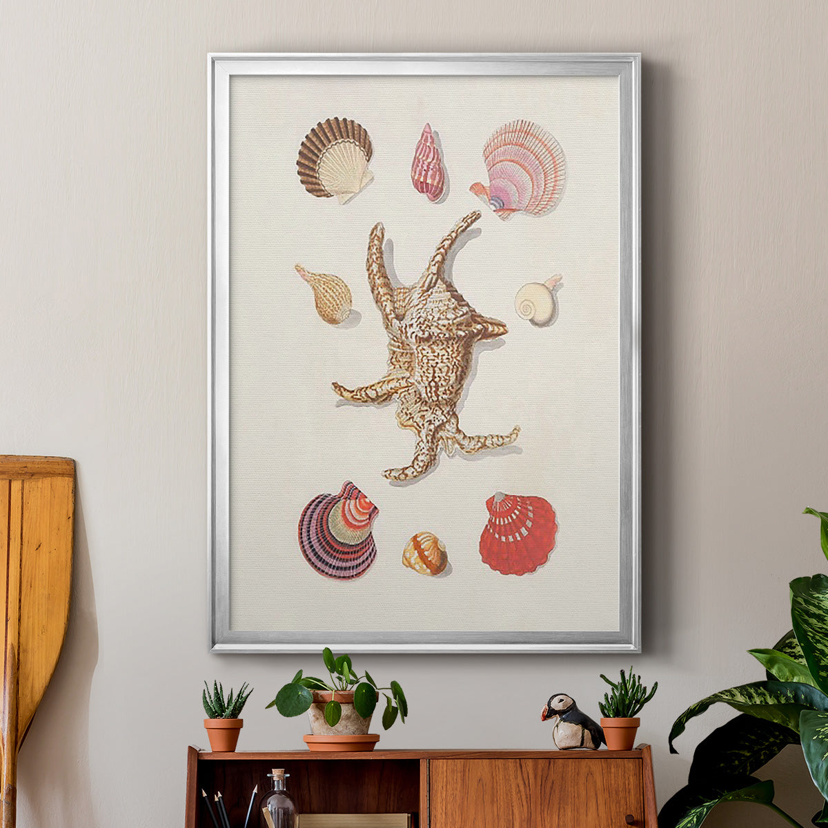 Knorr Shells & Coral II - Modern Framed Canvas Print