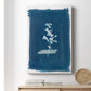 Cyanotype Pressed Leaves I Premium Gallery Wrapped Canvas - Ready to Hang