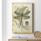 Regal Dragonfly I (PP)  - Canvas Art Print