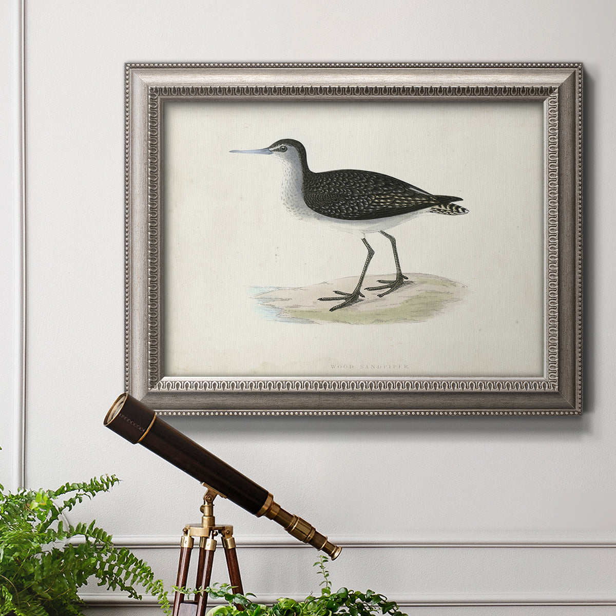 Morris Sandpipers VIII Premium Framed Canvas- Ready to Hang