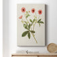 Flowers of the Seasons VIII - Canvas Art Print