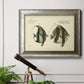 Bloch Antique Fish I Premium Framed Canvas- Ready to Hang