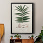 Botanical Society Ferns XII - Modern Framed Canvas Print