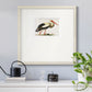 Odd Crane Premium Framed Print Double Matboard