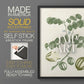 Buchoz Tropicals II - Restickable Framed Art Print
