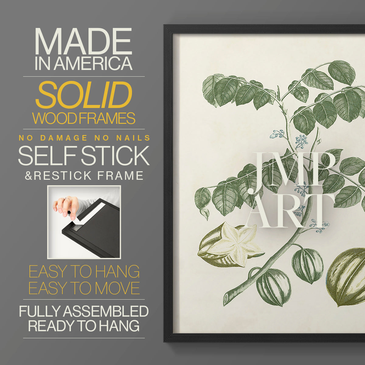 Buchoz Tropicals II - Restickable Framed Art Print
