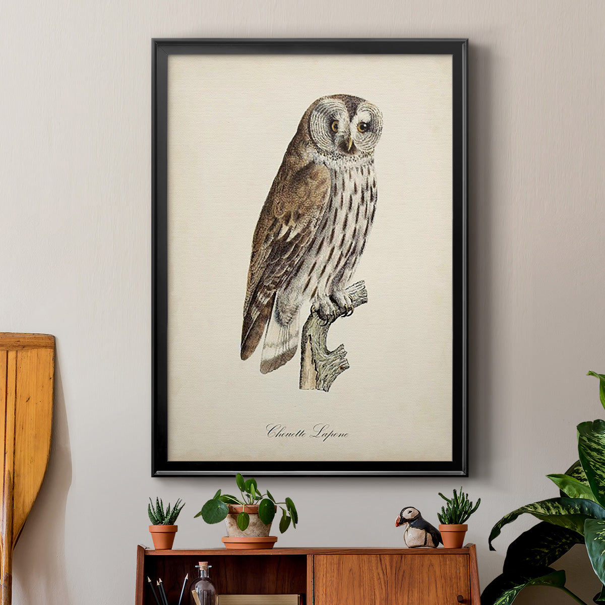 French Owls III - Modern Framed Canvas Print