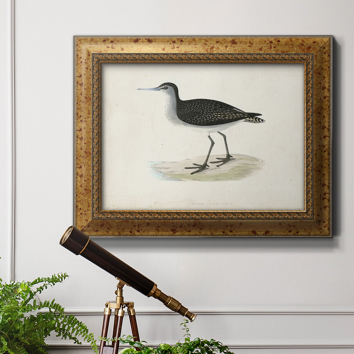 Morris Sandpipers VIII Premium Framed Canvas- Ready to Hang