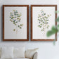 Eucalyptus I   - Premium Framed Canvas 2 Piece Set - Ready to Hang