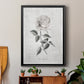 Vintage Botanical I - Modern Framed Canvas Print