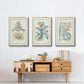 Willow Blue Besler I - Floater Framed Canvas Set
