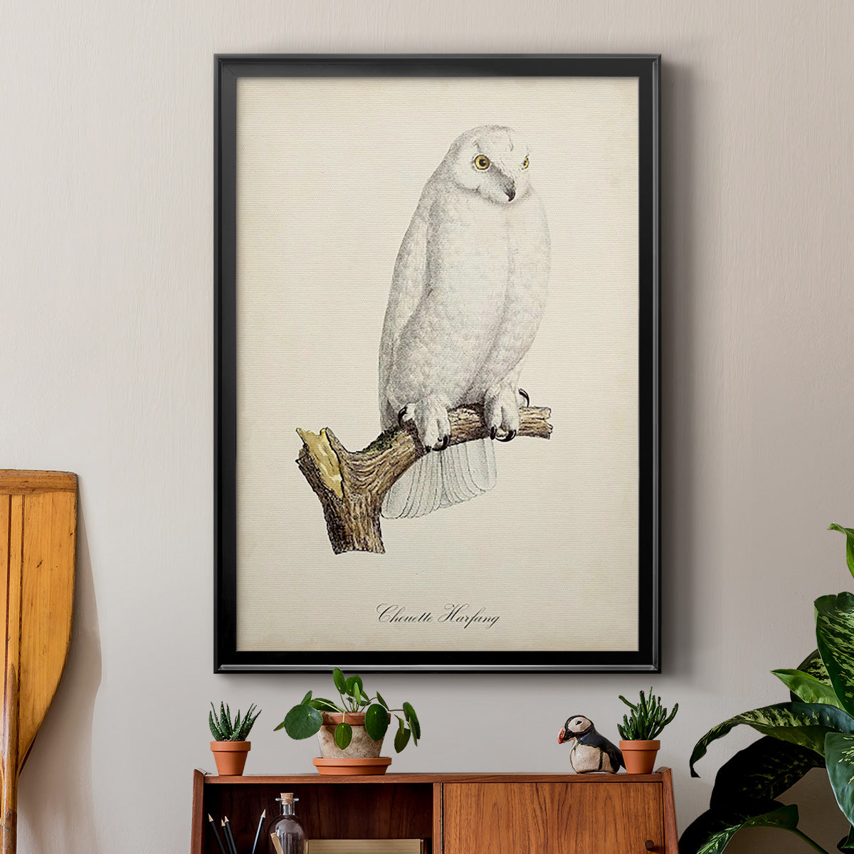 French Owls IV - Modern Framed Canvas Print