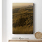 Golden Fog I - Canvas Art Print