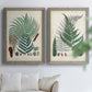 Set of two gray barnwood framed canvas prints depicting varied green fronds, roots, spores, and archival labels arranged across two complementary compositions above a sofa in a bright living space.