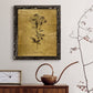 Gold Sketch Botanical II - Barnwood Framed Canvas Print