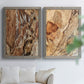 Tree Texture Triptych I - Premium Framed Canvas 2 Piece Set - Ready to Hang