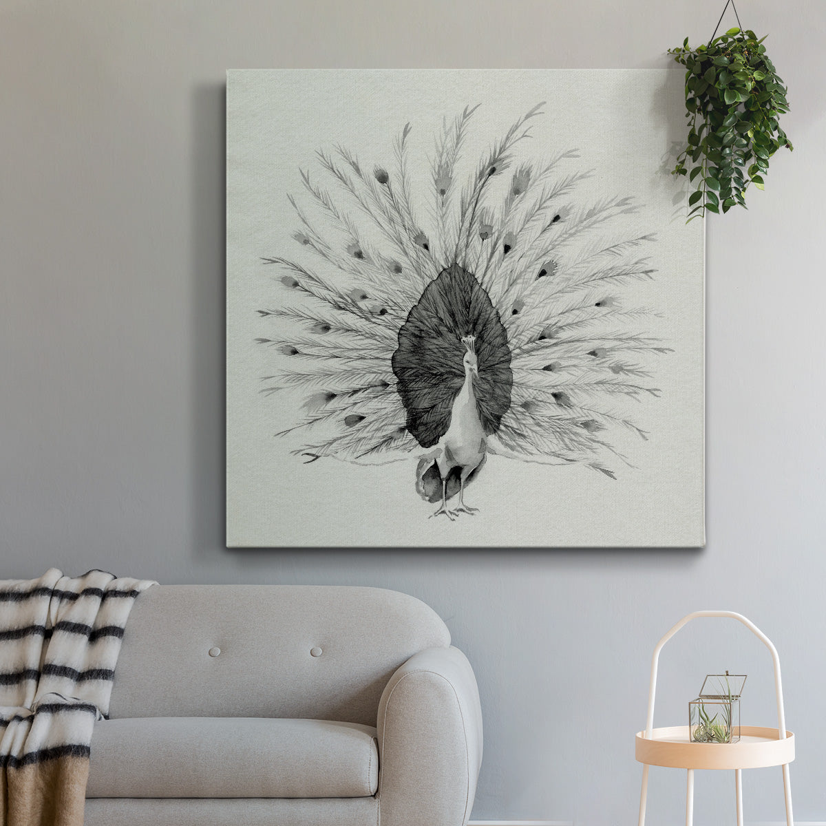 Ebony Plumed Peacock I - Canvas Art Print