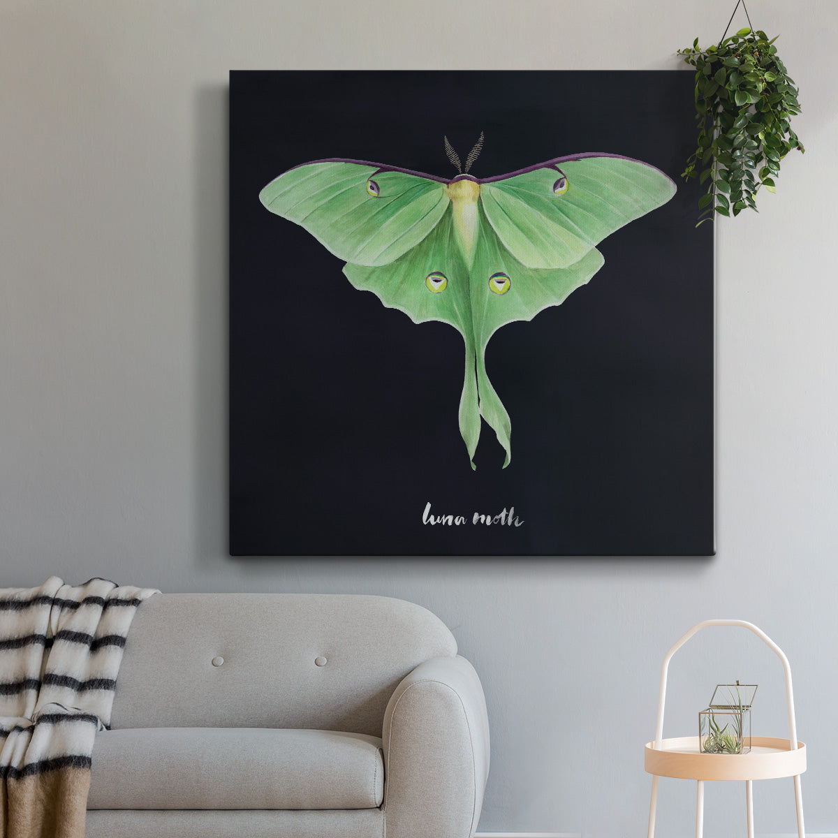 Luna Moth I - Canvas Art Print