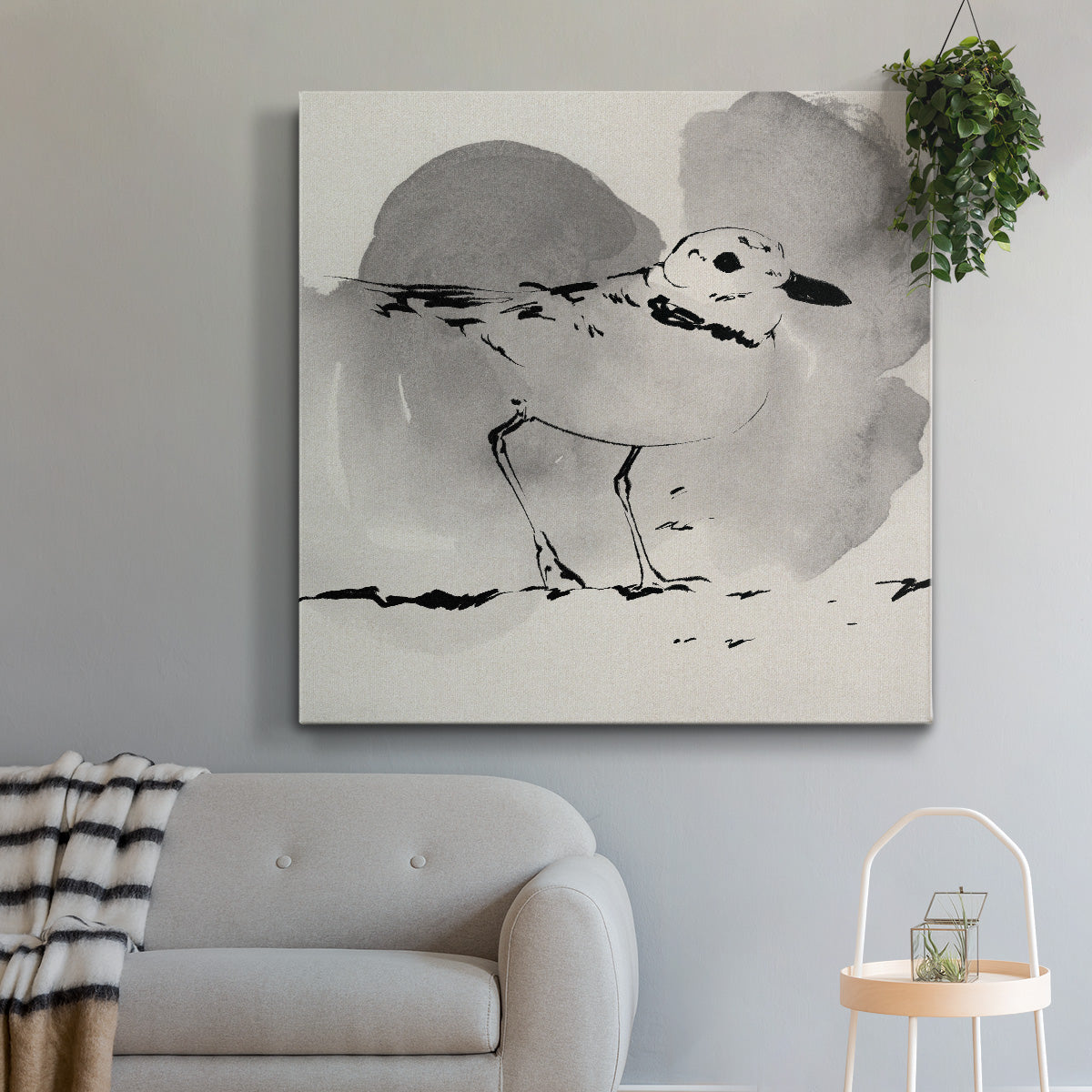 Inky Plover I - Canvas Art Print