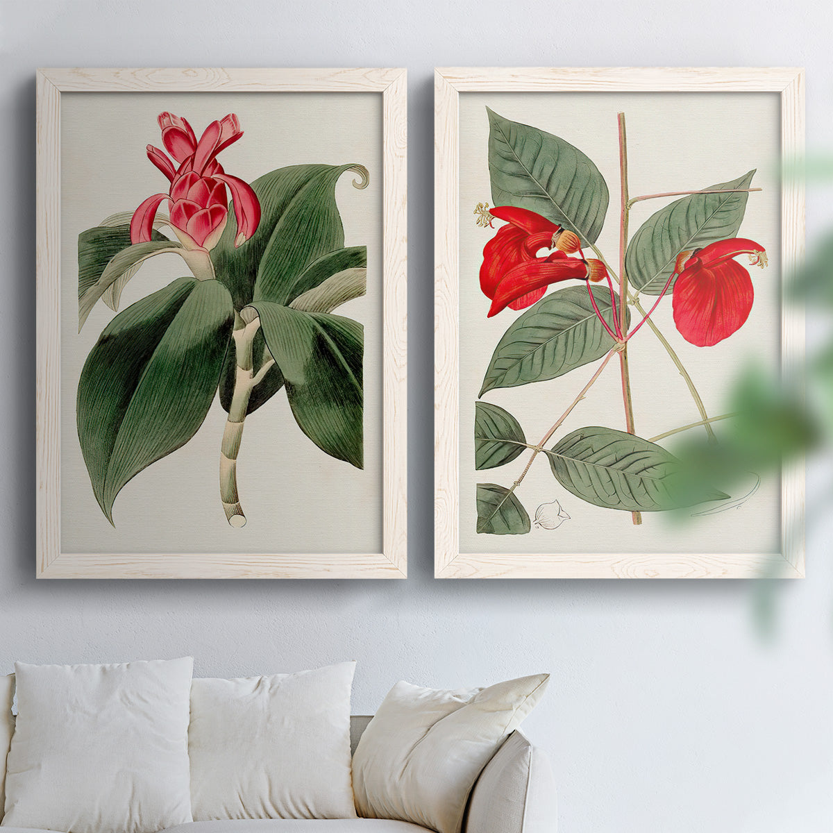 Flora of the Tropics I - Premium Framed Canvas 2 Piece Set - Ready to Hang