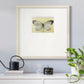 Chrysalis- Premium Framed Print Double Matboard