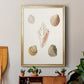 Pastel Knorr Shells IX - Modern Framed Canvas Print