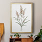 Dainty Botanical I - Modern Framed Canvas Print