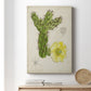 Antique Cactus I Premium Gallery Wrapped Canvas - Ready to Hang