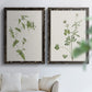 Wispy Botanical I - Premium Framed Canvas 2 Piece Set - Ready to Hang