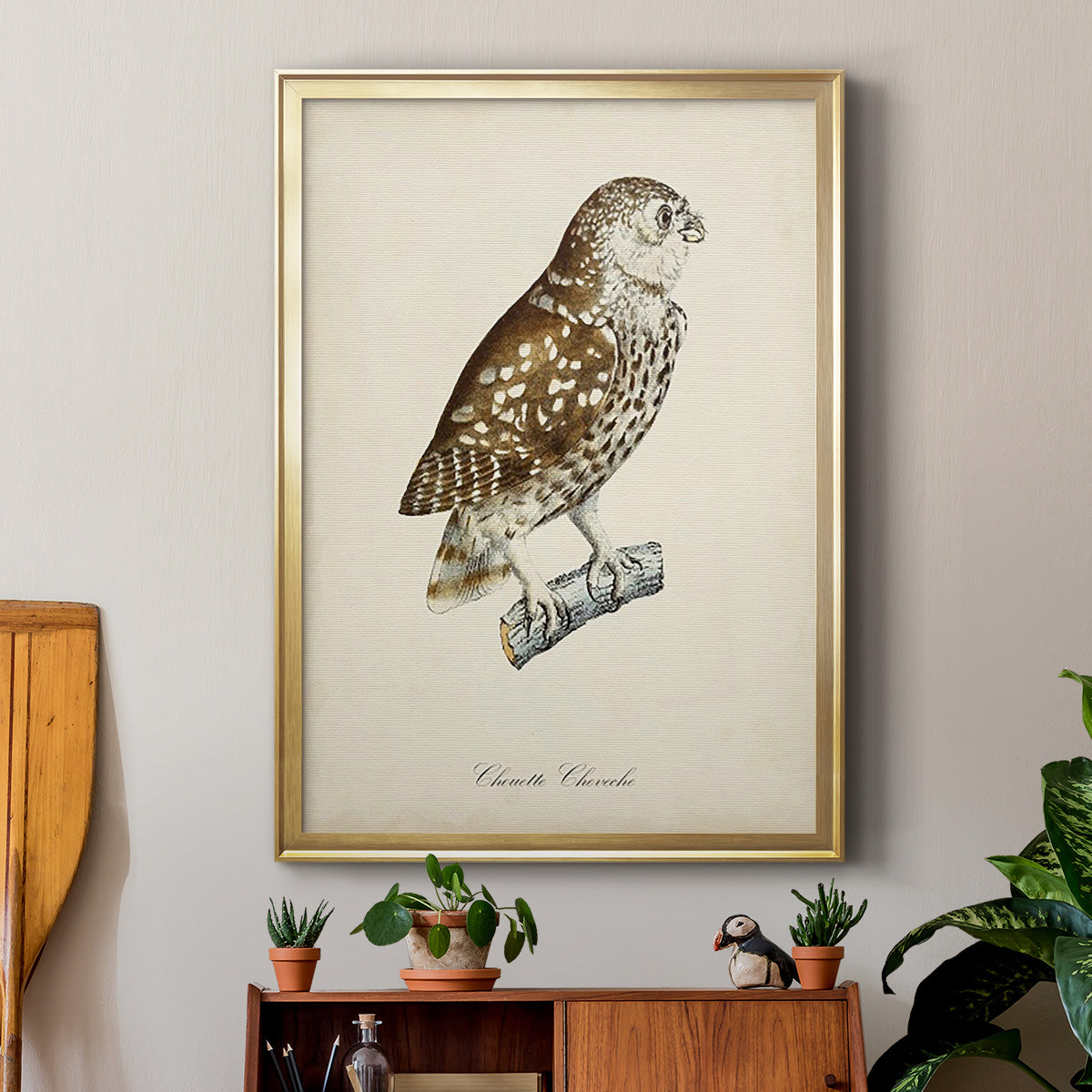 French Owls I - Modern Framed Canvas Print