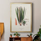 Botanical Society Ferns V - Modern Framed Canvas Print