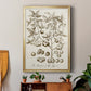 Sepia Botanical Journal II - Modern Framed Canvas Print