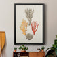 Knorr Shells & Coral IV - Modern Framed Canvas Print