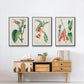 Turpin Tropical Botanicals I - Floater Framed Canvas Set