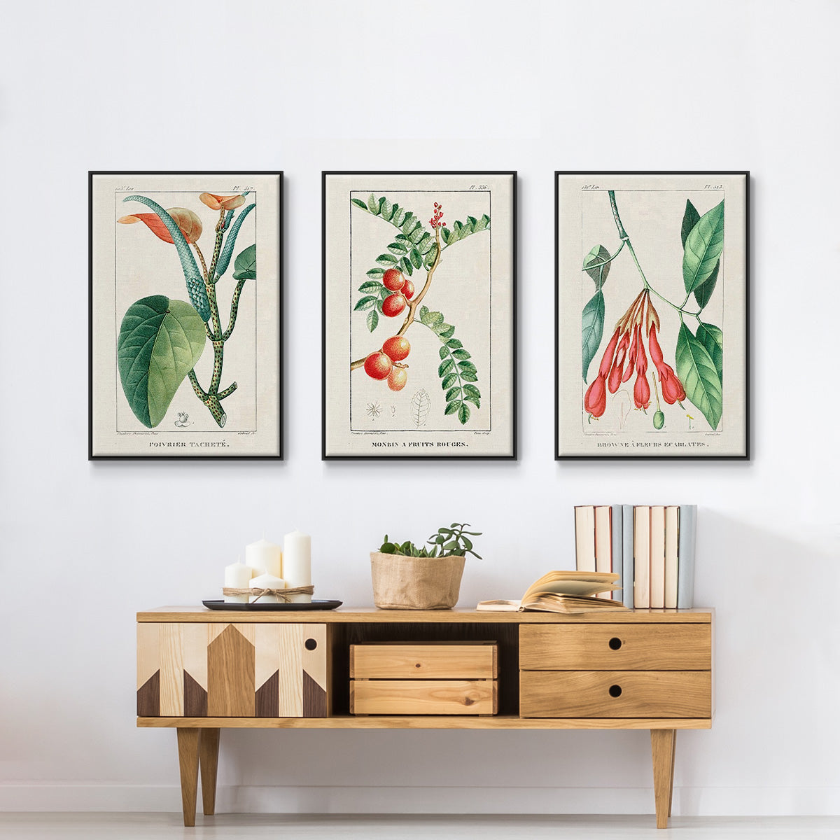 Turpin Tropical Botanicals I - Floater Framed Canvas Set