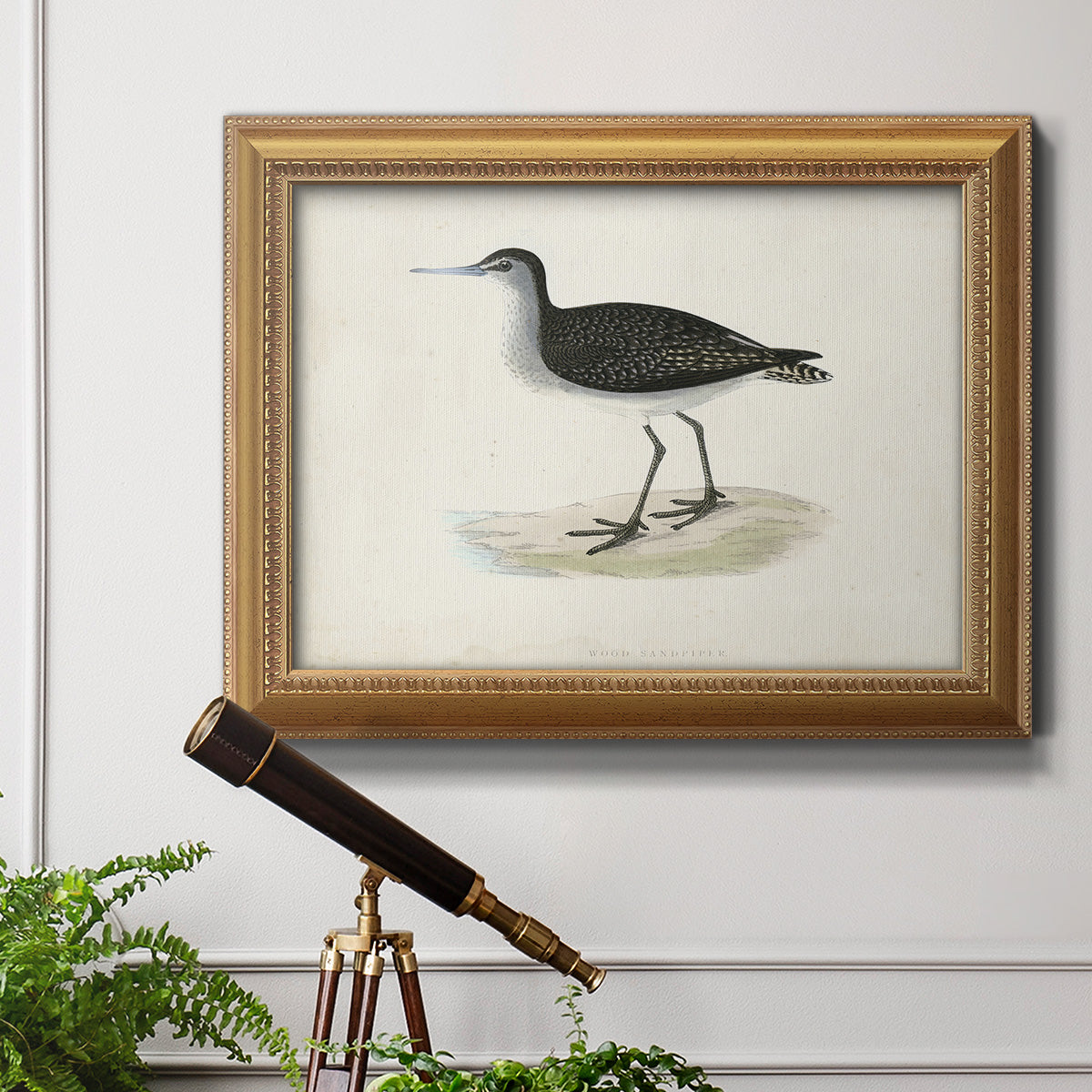 Morris Sandpipers VIII Premium Framed Canvas- Ready to Hang